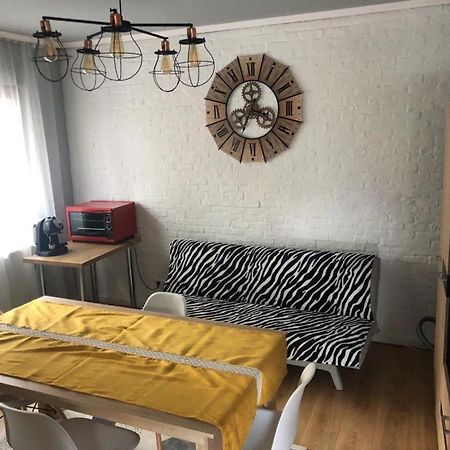 Apartament Apartament Dorobanti Kluż-Napoka Zewnętrze zdjęcie